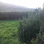Nuccio's House سانتا تيكلا