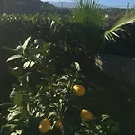 Nuccio's House شقة