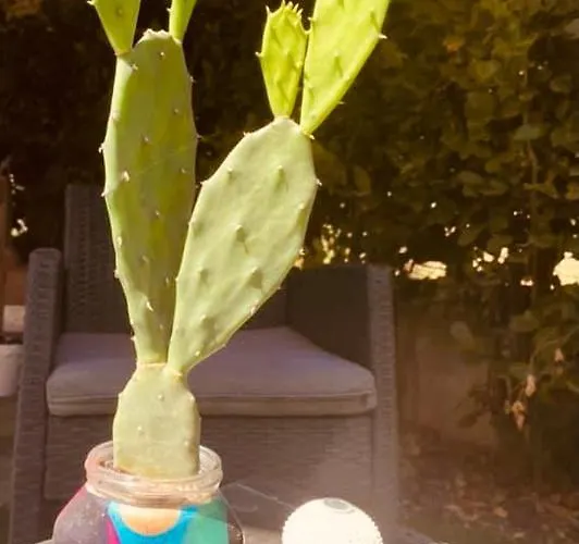 Appartement Nuccio's House Santa Tecla