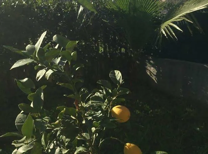 Nuccio's House Appartement